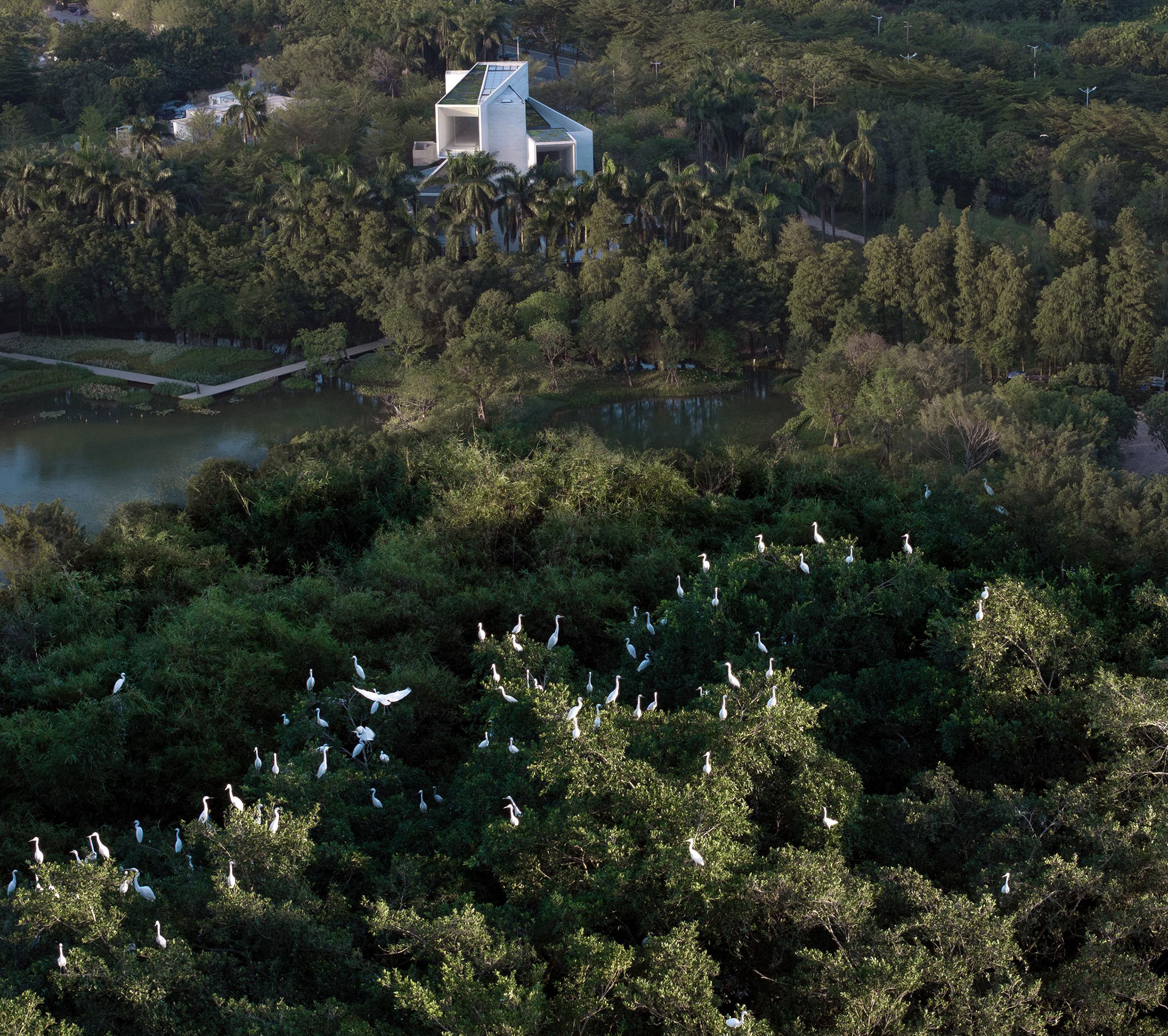 Museo del Humedal de Yunlu en Shunde por Studio Link-Arc. Fotografía por Arch-Exist.