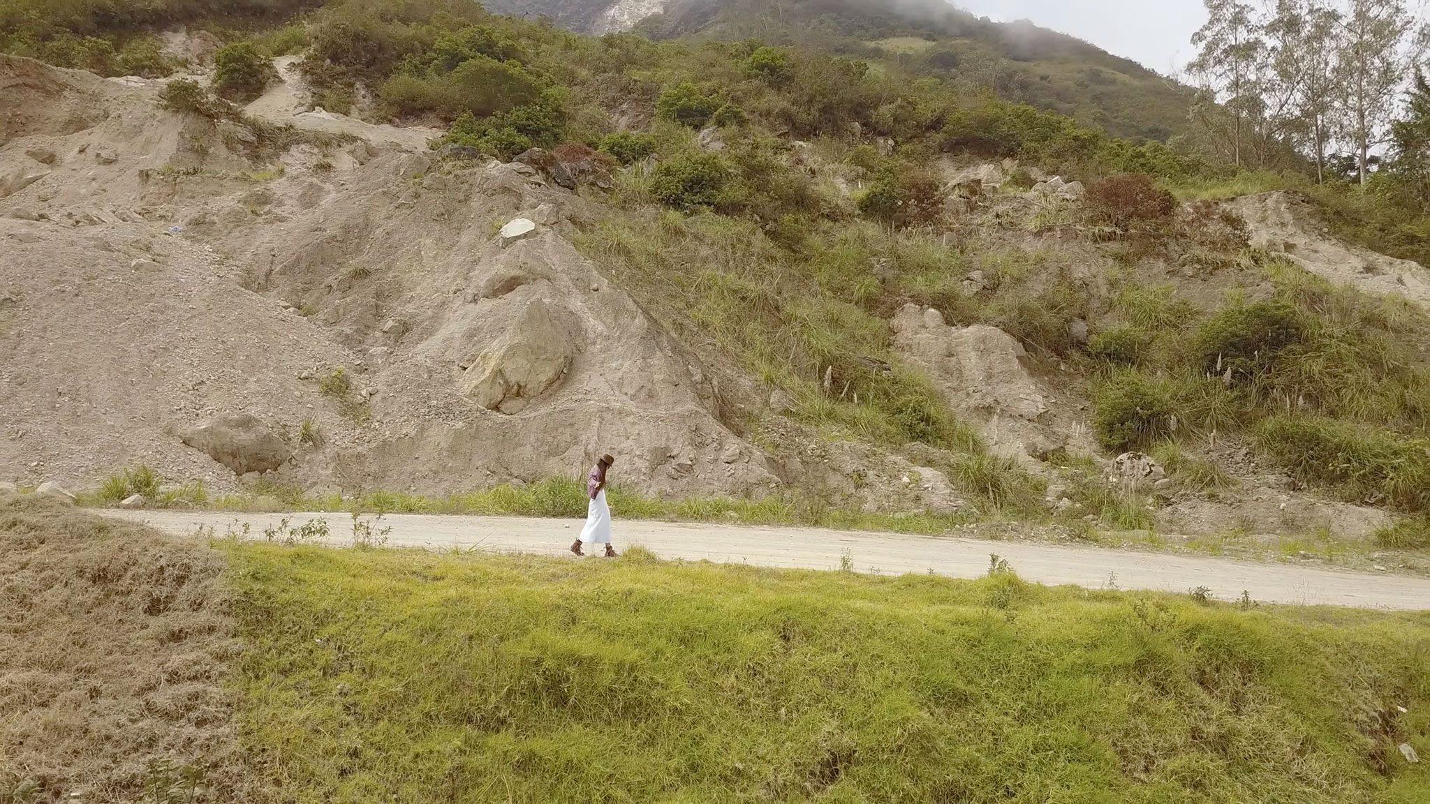 Capulí por Luz Pinos.