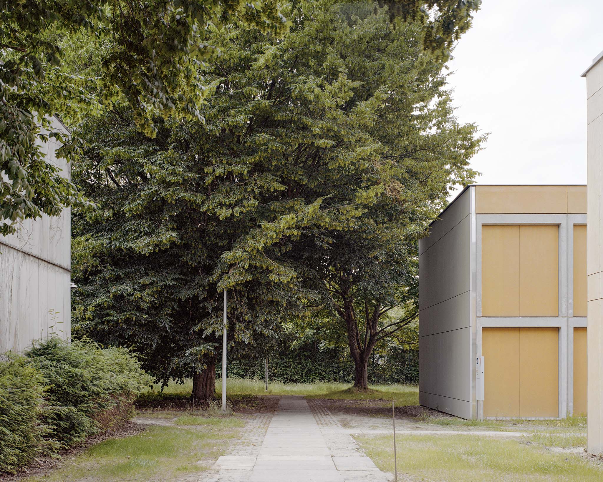 WVDM Living Lab by MAKER architecten. Photograph by Séverin Malaud.