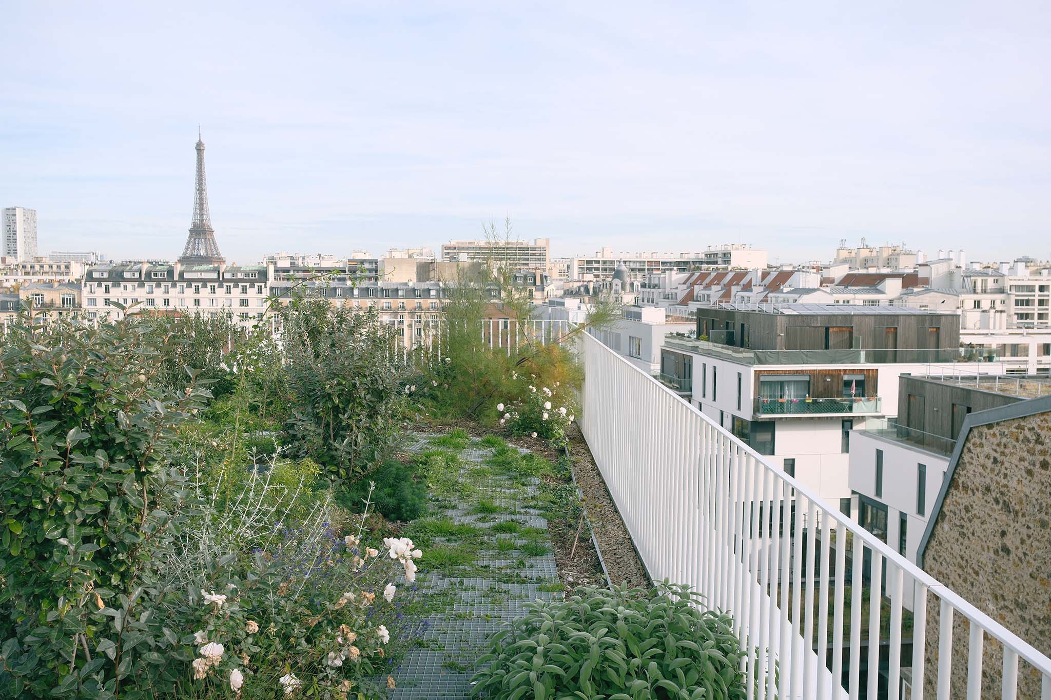 Lourmel Student Housing by MARS Architectes. Photograph by Charly Broyez