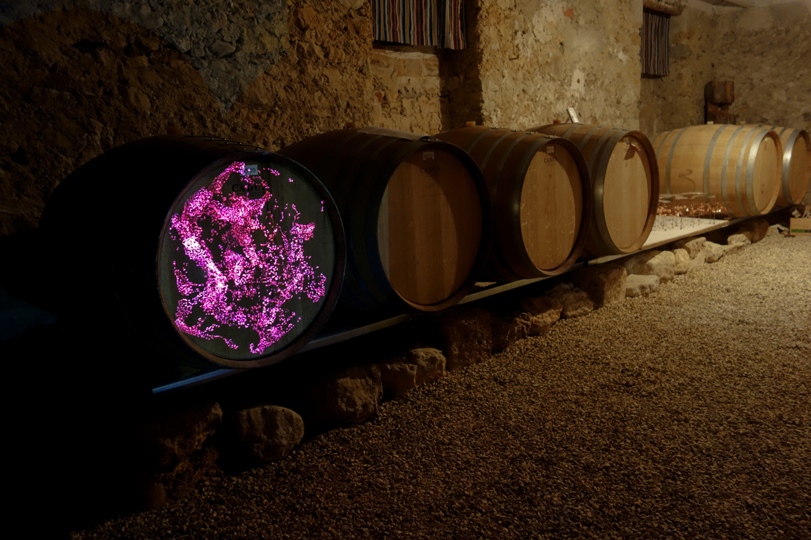 Always alive, Winery; Microvinyas: four architectures for a transformation, by José María Torres Nadal. Courtesy of José María Torres Nadal.