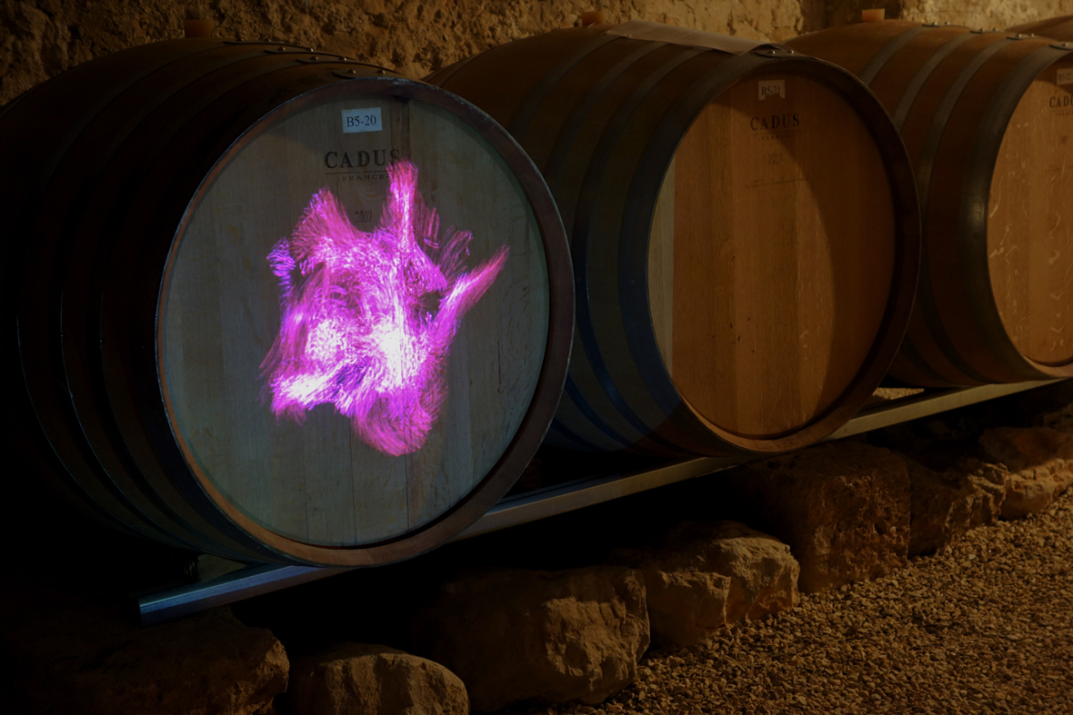Siempre está vivo, Bodega; Microvinyas: cuatro arquitecturas para una transformación, por José María Torres Nadal. Cortesía de José María Torres Nadal.