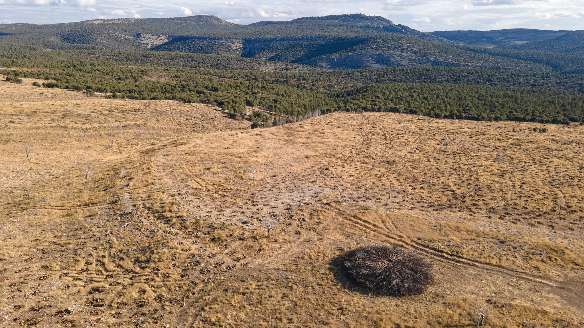 Socarrado por Nomad Studio. Fotografía por Nomad Studio.