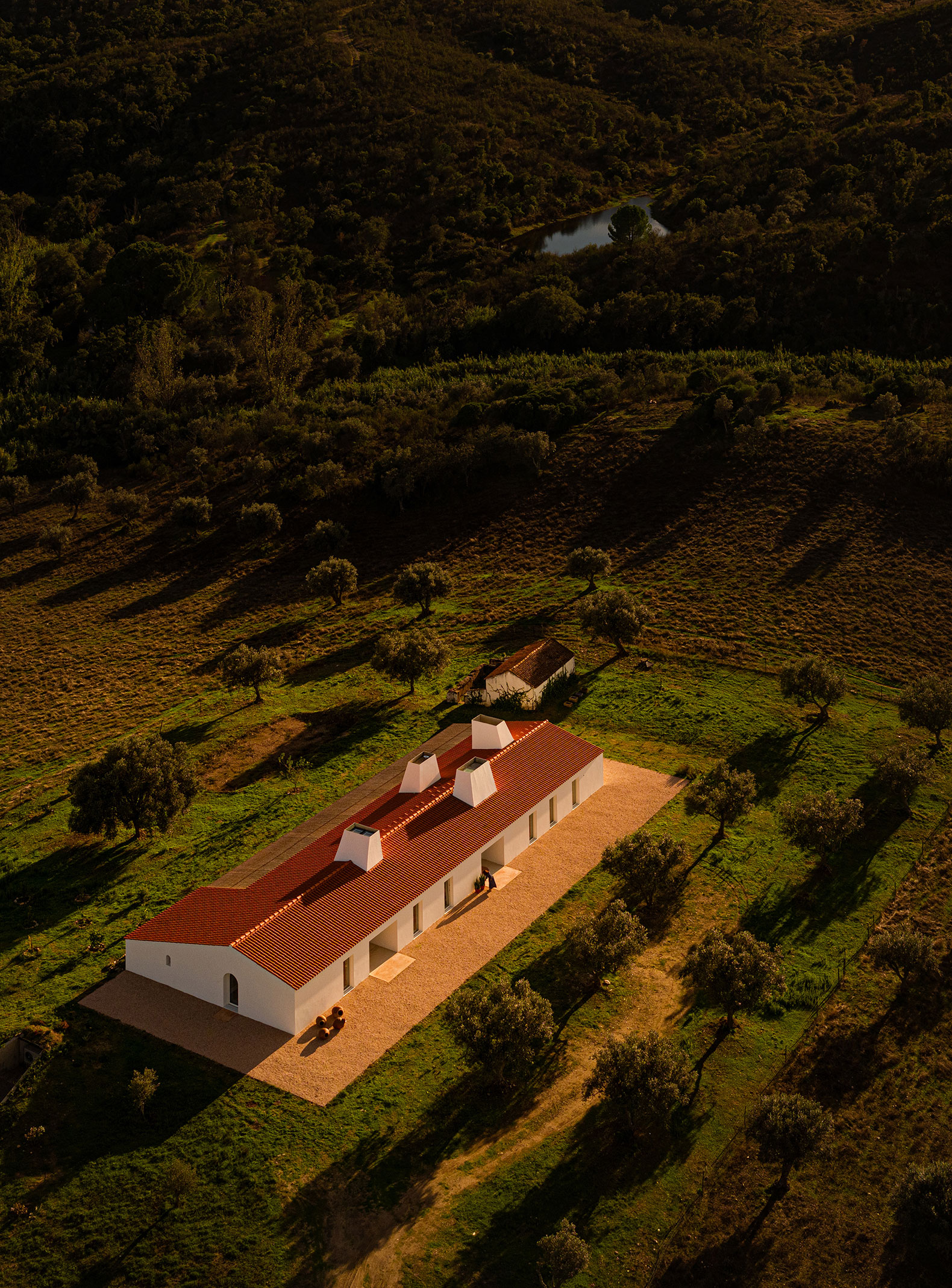 Casa Monte Alvo por NOZ Arquitectura. Fotografía por Fernando Guerra.