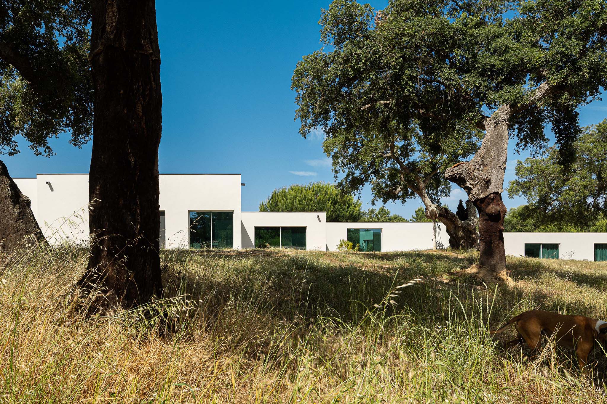 M Ariane House House by Sabrab Architecture. Photograph by Ivo Tavares Studio.&nbsp;