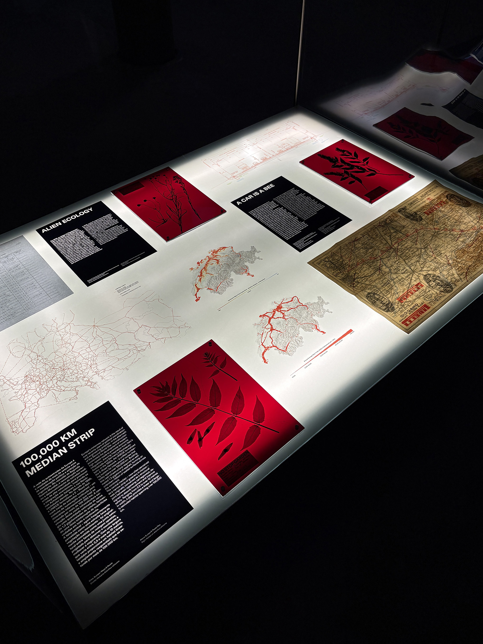 "Talk, Talk, Talk" lecture series at the Calouste Gulbenkian Foundation. 7th Lisbon Architecture Triennial. Photograph by Agustina Berta