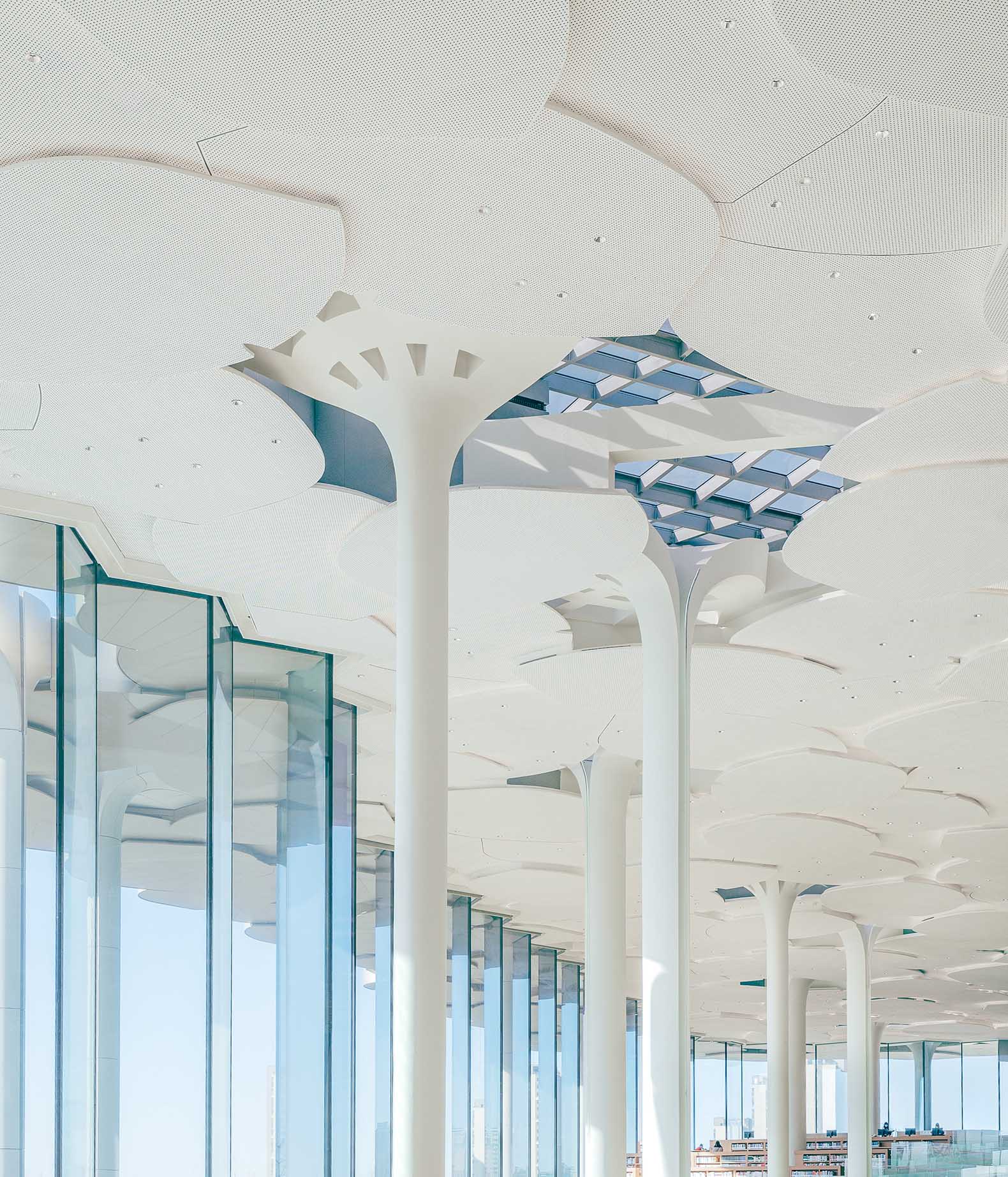 Snøhetta completed the world's largest climatized reading
