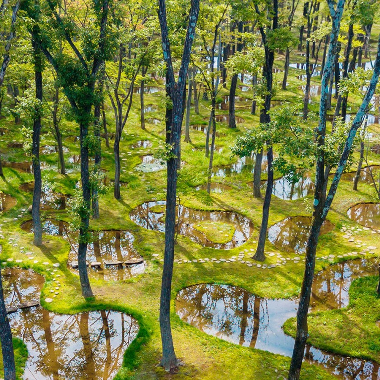 Stunning Japanese Landscape. The Water Garden by Junya