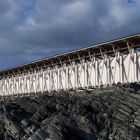 洋書 Louise Bourgeois and Peter Zumthor Louise-Bourgeois-and-Peter-