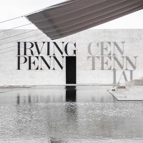 metalocus_Irving-Penn-