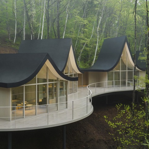 Domestic life divided into capsules. hand-in-hand house by nendo