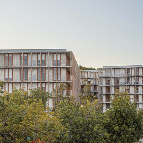 Environment adapted to a privileged space. Social housing 1737 by