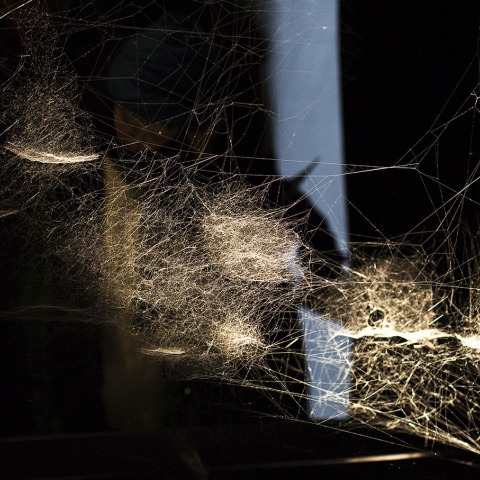 Spider/Web Pavilion 7 by Tomás Saraceno | METALOCUS