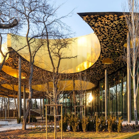 Between the ethereal and the art nouveau of the forest. House of