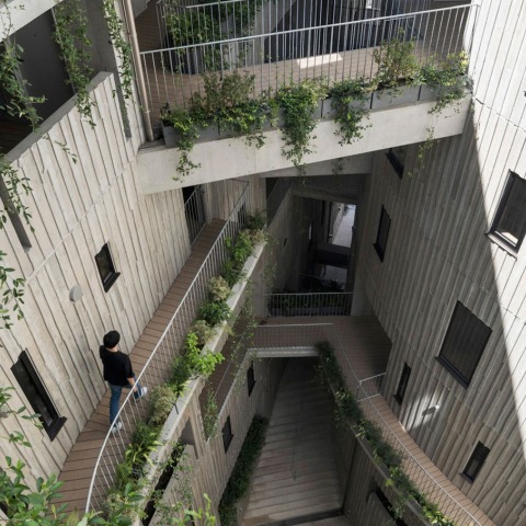 Organic shapes generated by lights and shadows. Tenjincho Place
