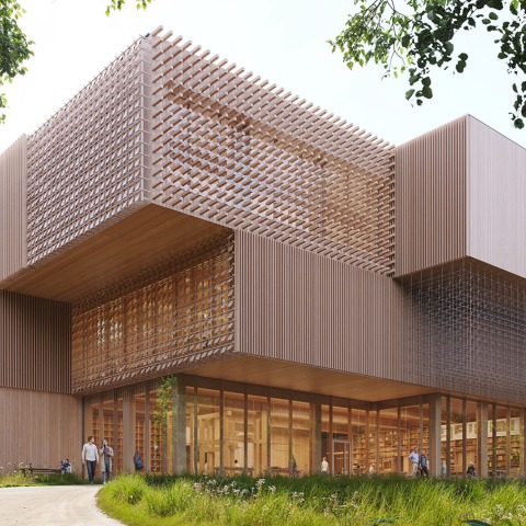 Timber as a benchmark. Xylopolis Centre for Wood Art and Science