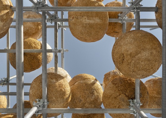 «Growing Matter(s)» por Henning Larsen. Fotografía por DSL Studio