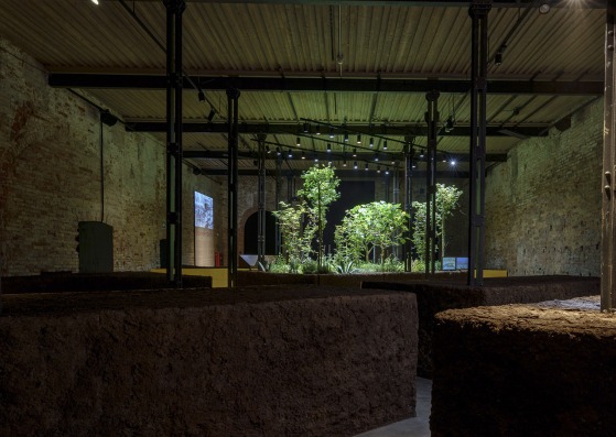 Pabellón de México. Chinampa Veneta. XIX Exposición Internacional de Arquitectura de La Biennale di Venezia. Fotografía por Andrea Avezzù. Cortesía por La Biennale di Venezia