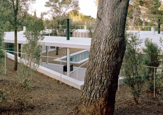 Patio House by Arquitectura-G. Photograph by Maxime Delvaux