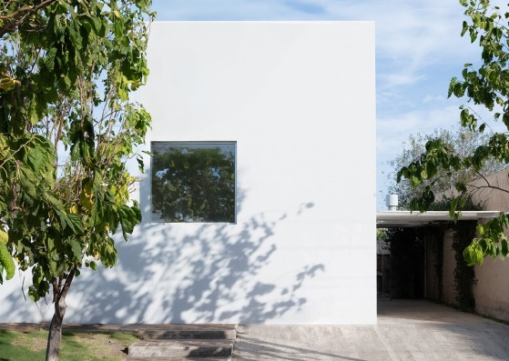 Casa para un árbol por Esteras Perrote. Fotografía por Juan Cruz Paredes