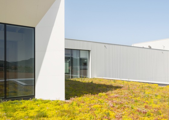 Cereal Innovation Center by IDOM. Photograph by Pedro Pegenaute