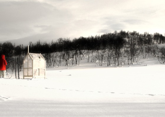 Exterior view. Photography by Astrid Rohde Wang and Olav Lunde Arneberg