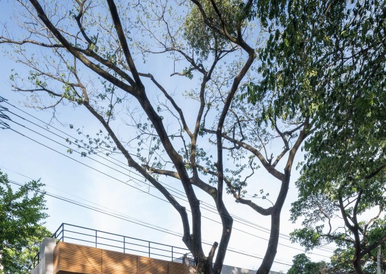 Casa Phutthamonthon-Y por Archimontage Design Fields Sophisticated. Fotografía por Beer Singnoi