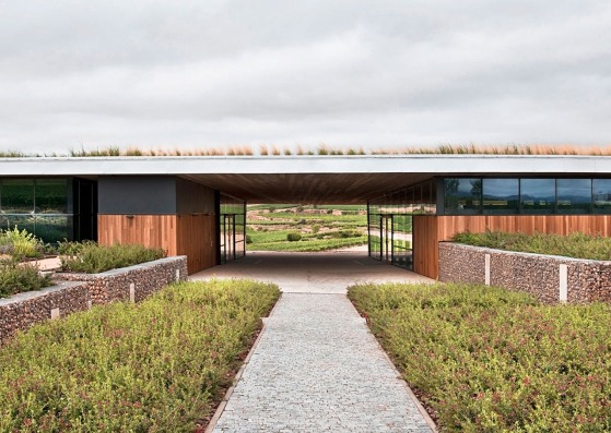 Beronia Rioja Winery by Borja Gómez, Gonzalo Tello / IDOM. Photograph by Francesco Pintón