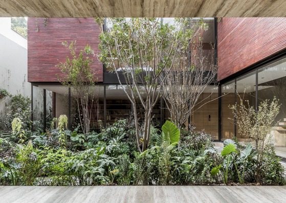 Casa Sierra Fría por Esrawe Studio. Fotografía por César Béjar