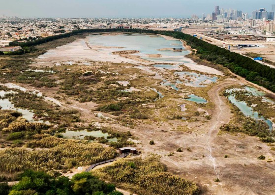 Wasit Visitor Centre by X-Architects. Photograph © Nelson Garrido
