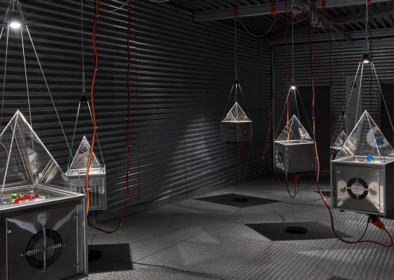 «Restos en suspenso, todavía» por elii y Orkan Telhan en el Museo Reina Sofía. Cortesía de Museo Centro de Arte Reina Sofía. Octubre 2023. Archivo fotográfico del Museo Reina Sofía