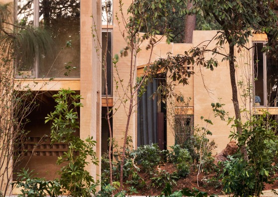 Entre pinos by Taller Héctor Barroso. Photograph by Rory Gardiner