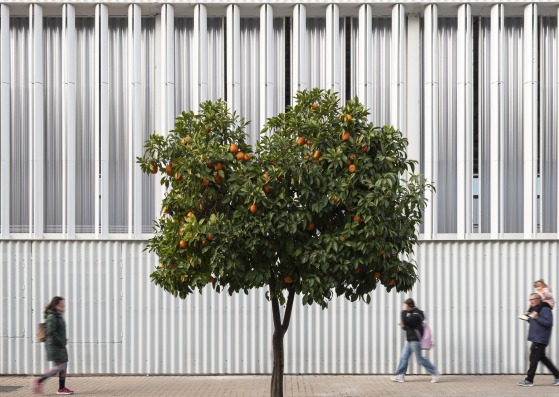 Pabellón Ferrobús por Eovastudio. Fotografía por Fernando Alda