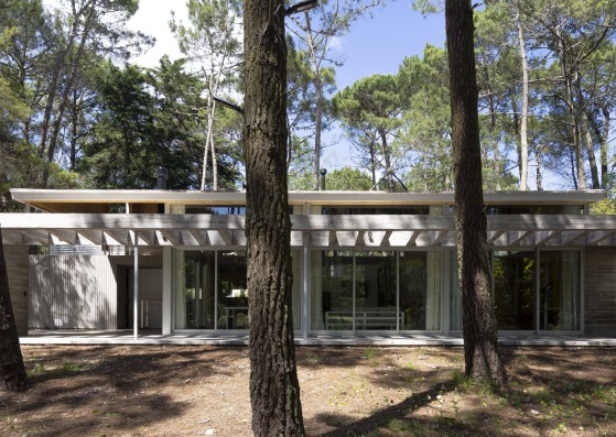 Pingüino House by Estudio Galera. Photograph by Javier Agustín Rojas