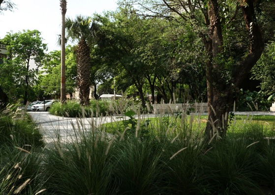 Jardín Ciudadano by Práctica Arquitectura. Photograph by César Bejar, The Raw, Archivo Práctica Arquitectura