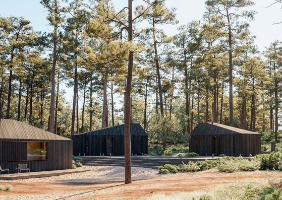 Hytte Cabins by Aylott & Van Tromp and Koto Design. Rendering by Merge Visualisation