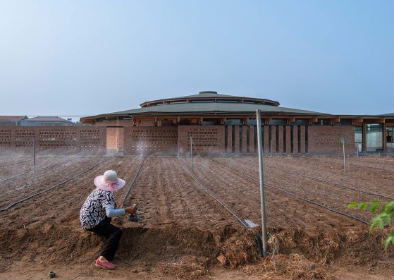 Prepared Rehmannia Root Crafts Exhibition Hall by LUO studio. Photograph by Jin Weiqi