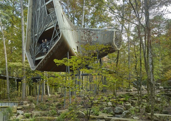 The Evans Tree House at Garvan Woodland Gardens by modus studio and the University of Arkansas. Photograph by Timothy Hursley