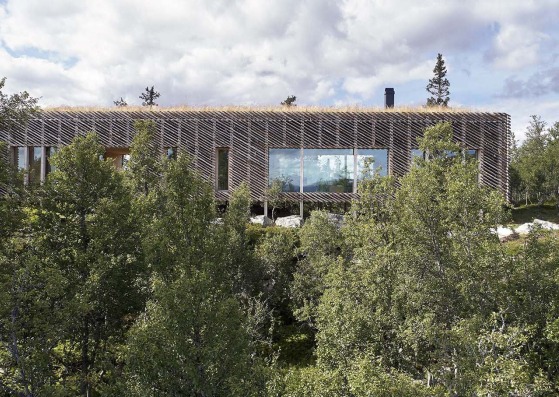 Skygard Hytte por Mork-Ulnes Architects. Fotografía por Bruce Damonte