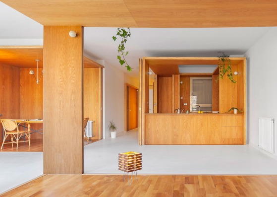 Extensive-intensive apartment by Nil Brullet Francí. Photograph by Andrés Flajszer