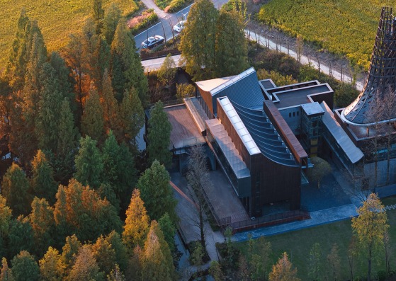 Redwood Tribe Shared Restaurant in Hongqiyang Village by y.ad studio. Photograph by Su Shengliang