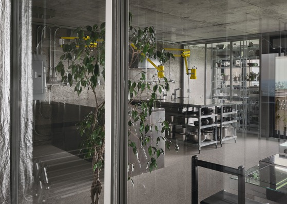 BRUJ «cabinet de curiosités» by Studio Jean Verville architectes. Photograph by Maxime Brouillet