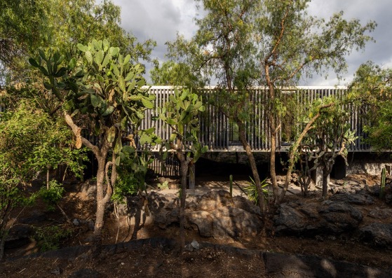 Museo Anahuacalli, reforma y ampliación por Mauricio Rocha. Fotografía por Rafael Gamo