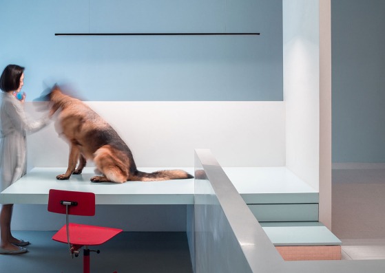 The dog house, new project by Atelier About Architecture. Photograph by Sun Haiting 