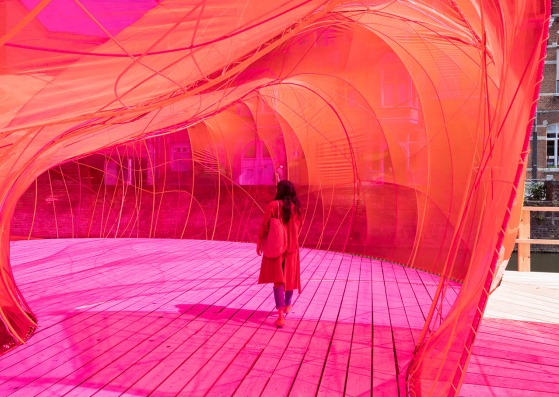 Pavilion at the Bruges Triennial by Selgascano. Photograph by Iwan Baan  Pavilion at the Bruges Triennial by Selgascano. Photograph by Iwan Baan