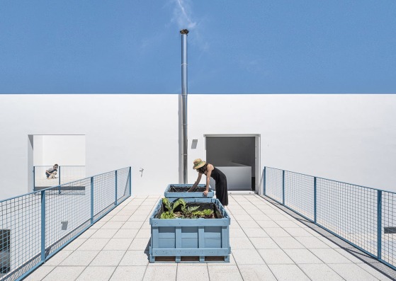 Casa RR por Vida Architecture y Matriz Arquitectura. Fotografía por Jesus Granada