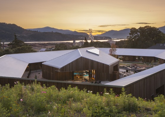 The Society Hotel Bingen by Waechter Architecture. Photograph by Lara Swimmer.