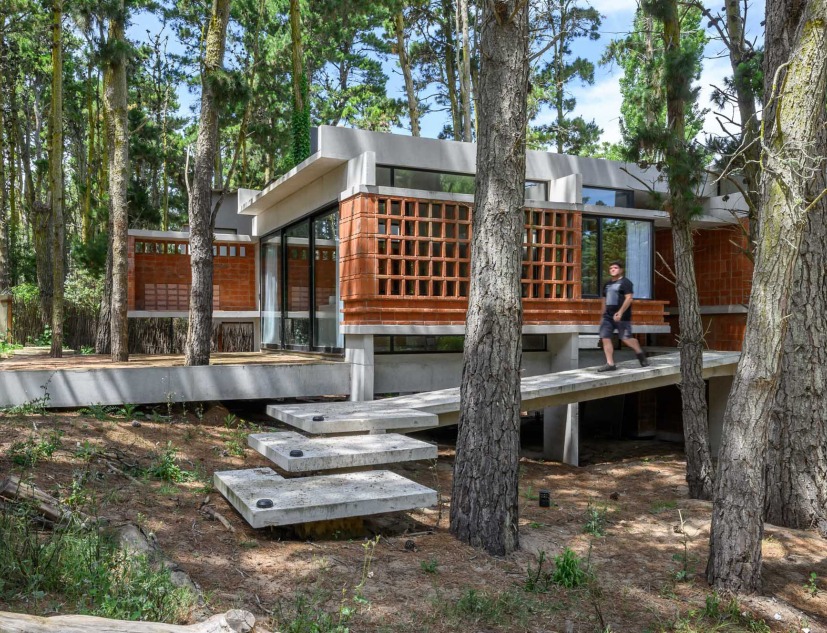 Casa Fruto del bosque por Barrionuevo Villanueva Arquitectos. Fotografía por Gonzalo Viramonte