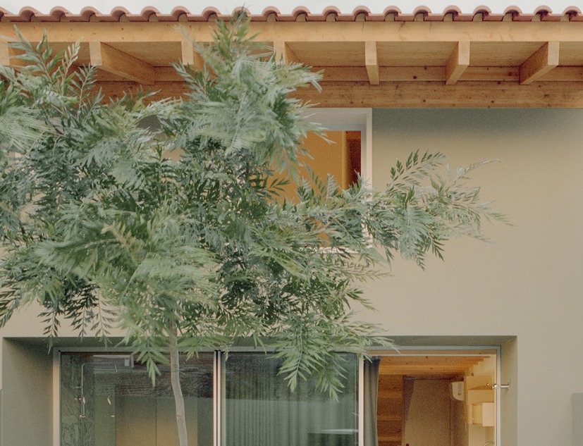 Gago Green House by Bruno Dias Arquitectura. Photograph by Hugo Santos Silva