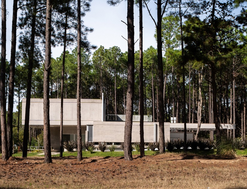 C&G House by Estudio Galera Arquitectura. Photograph by Diego Medina